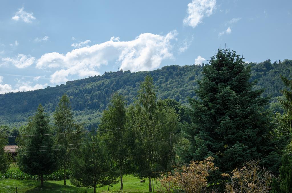 Meuble De Tourisme 3* Lägenhet Saverne Rum bild